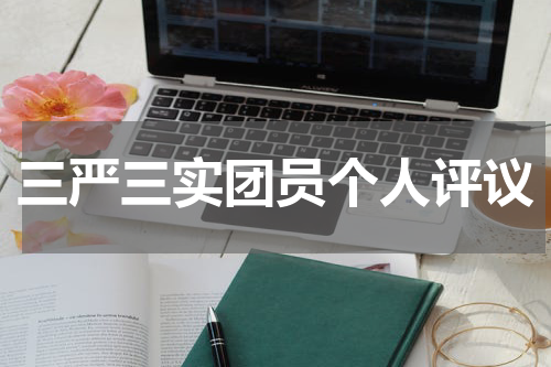 三严三实团员个人评议