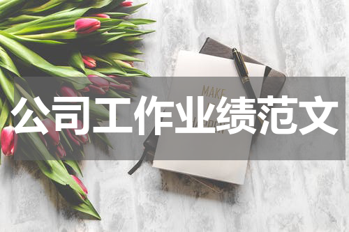 公司工作业绩范文