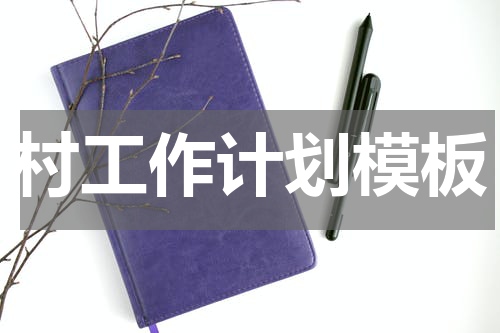 村工作计划模板