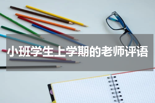 小班学生上学期的老师评语