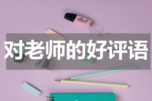 对老师的好评语