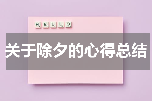 关于除夕的心得总结