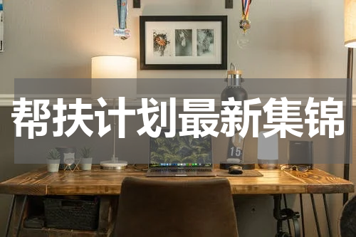 帮扶计划最新集锦