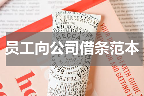 员工向公司借条范本