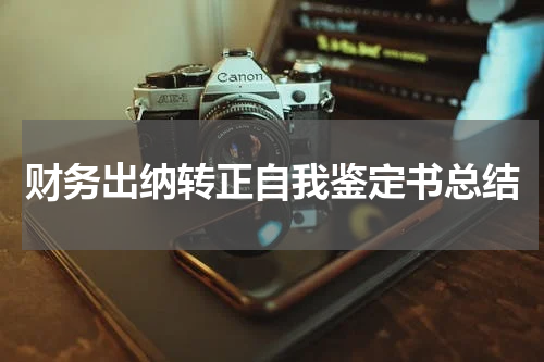 财务出纳转正自我鉴定书总结