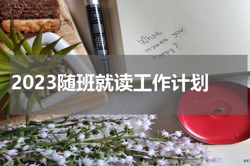 2023随班就读工作计划