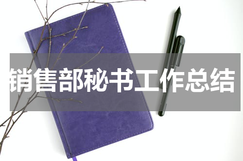 销售部秘书工作总结