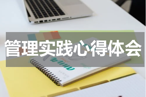 管理实践心得体会