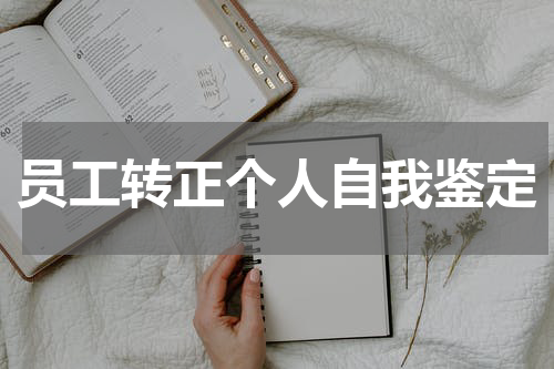员工转正个人自我鉴定