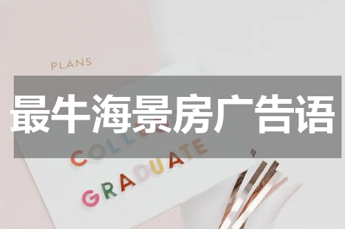 最牛海景房广告语