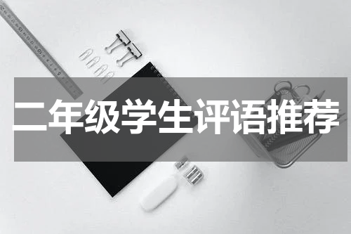 二年级学生评语推荐