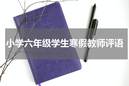 小学六年级学生寒假教师评语