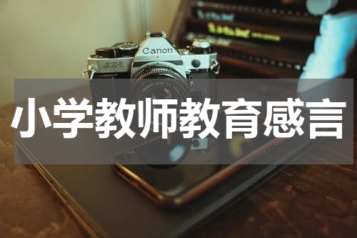 小学教师教育感言