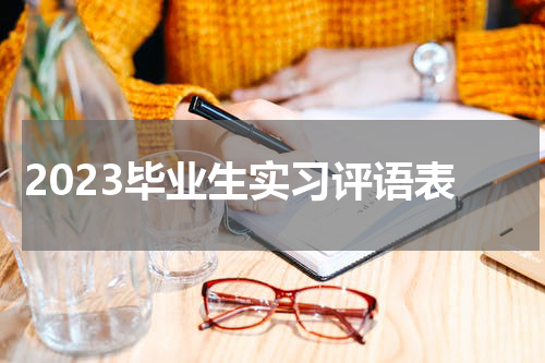 2023毕业生实习评语表