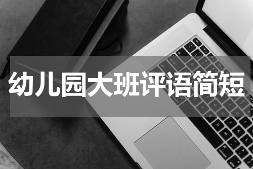 幼儿园大班评语简短