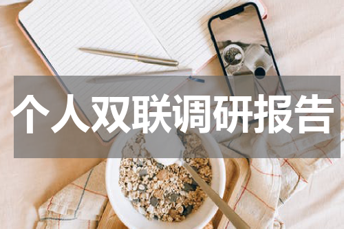 个人双联调研报告