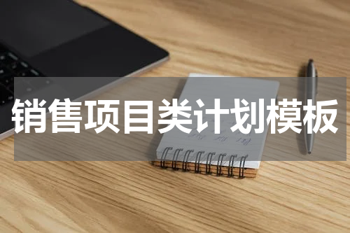 销售项目类计划模板