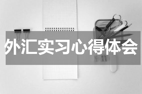外汇实习心得体会
