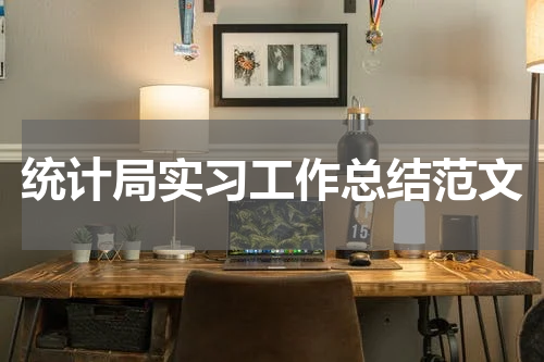 统计局实习工作总结范文