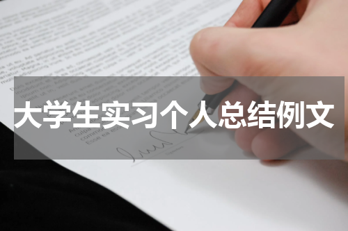 大学生实习个人总结例文