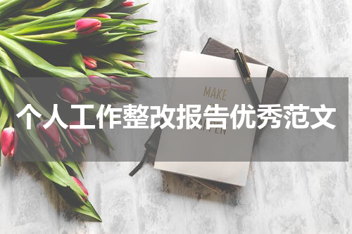 个人工作整改报告优秀范文
