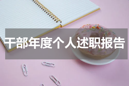 干部年度个人述职报告