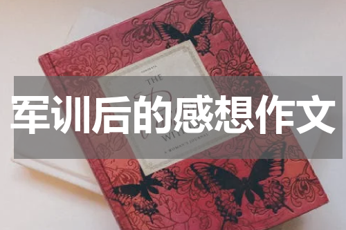 军训后的感想作文