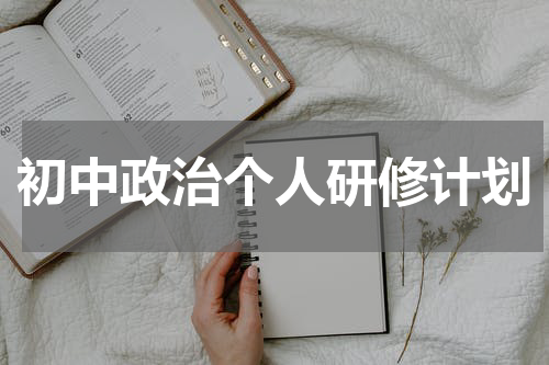 初中政治个人研修计划