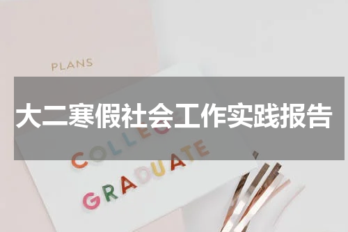 大二寒假社会工作实践报告