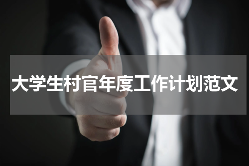 大学生村官年度工作计划范文