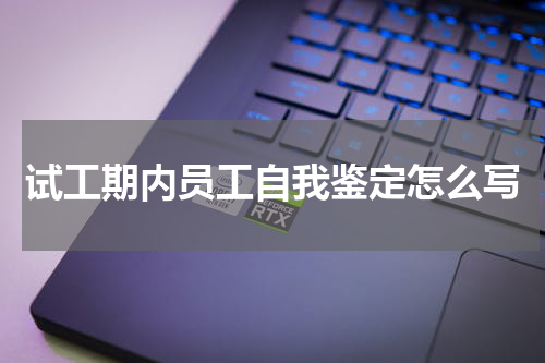 试工期内员工自我鉴定怎么写