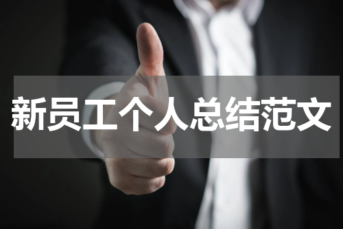 新员工个人总结范文