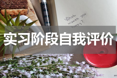 实习阶段自我评价