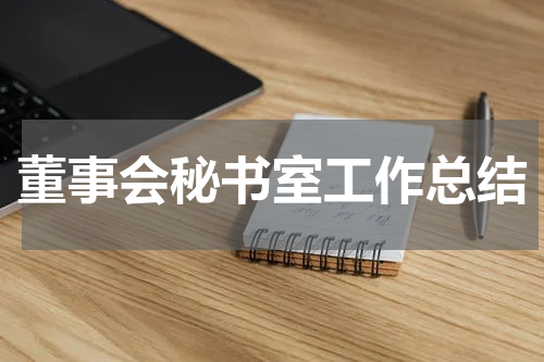 董事会秘书室工作总结