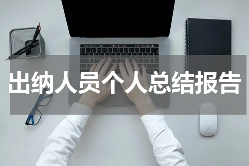 出纳人员个人总结报告