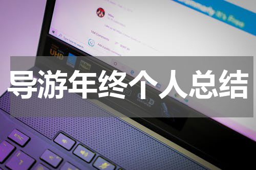 导游年终个人总结