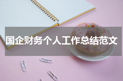 国企财务个人工作总结范文