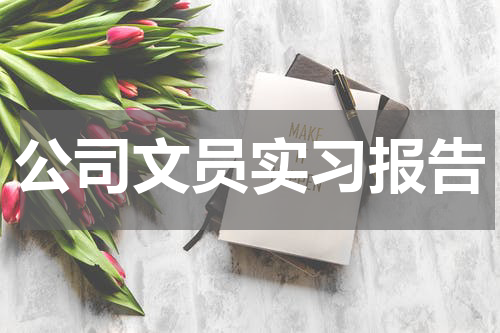 公司文员实习报告