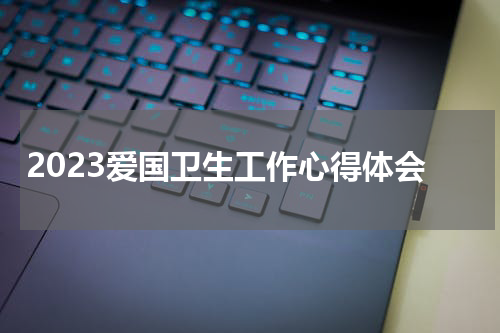 2023爱国卫生工作心得体会