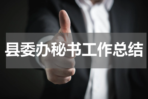 县委办秘书工作总结