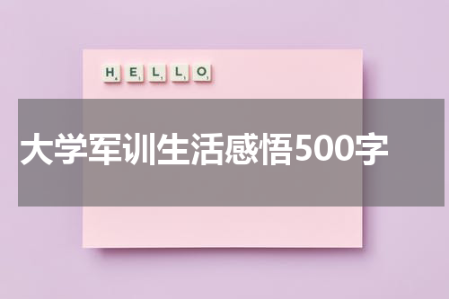 大学军训生活感悟500字