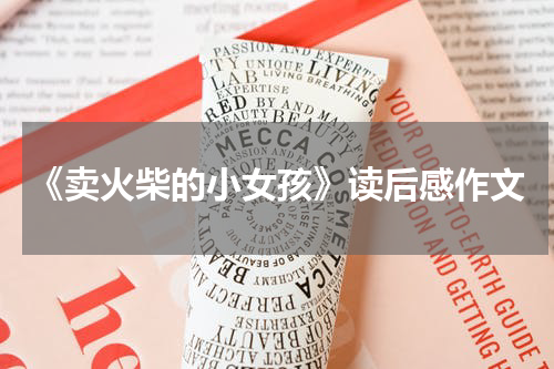 《卖火柴的小女孩》读后感作文