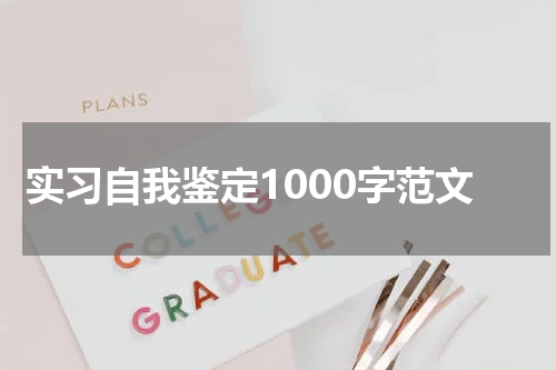 实习自我鉴定1000字范文