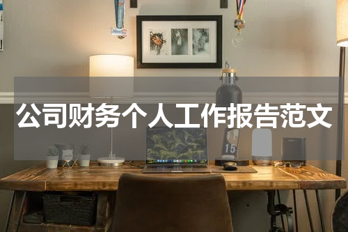 公司财务个人工作报告范文