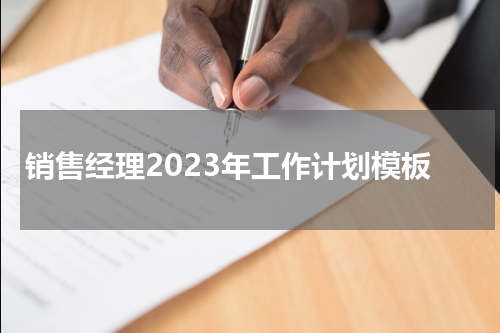 销售经理2023年工作计划模板