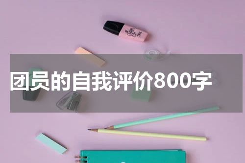 团员的自我评价800字