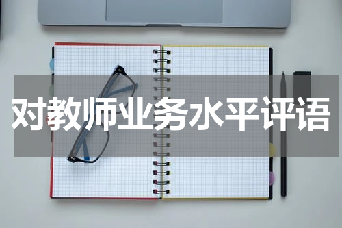 对教师业务水平评语