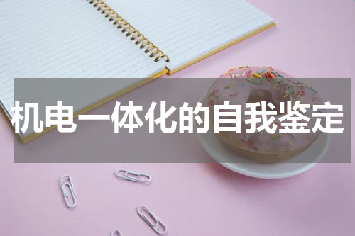 机电一体化的自我鉴定