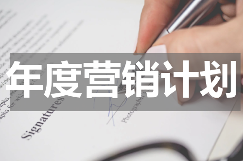 年度营销计划