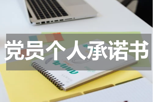 党员个人承诺书